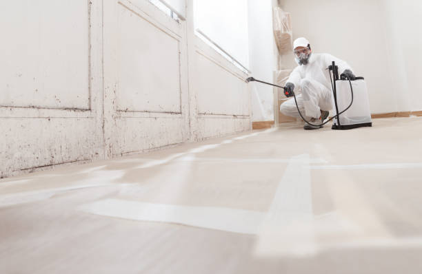 24/7 Emergency Attic Mold Removal experts in Meyersdale, PA